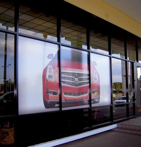 Cadillac View Through Window Graphic